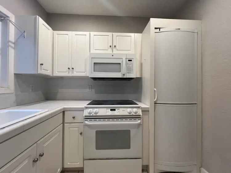 Rent Cozy Apartment Unit in North Albany with Private Entrance and Yard