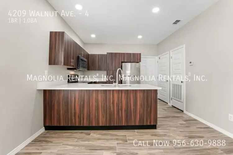 Rent Modern Apartment Unit in McAllen with Stylish Features and Amenities