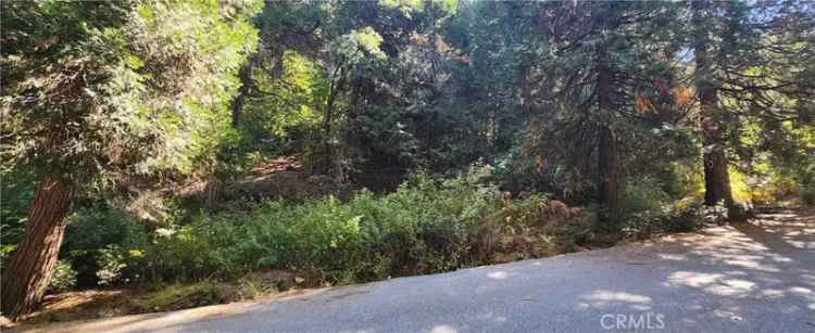 Land For Sale in Lake Arrowhead, California