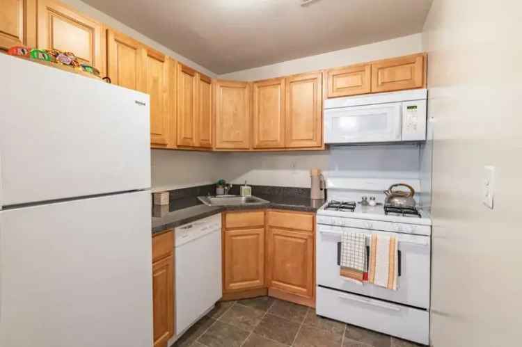 Rent Apartments in Dover with Unique Style and Great Amenities