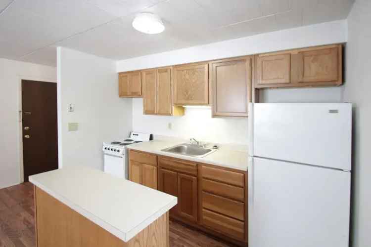 Rent Apartment Unit in Pleasant Neighborhood with Spacious Interior