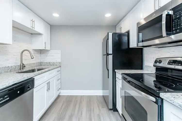 Rent Apartments in Temple Terrace with Modern Amenities and Pet-Friendly Features