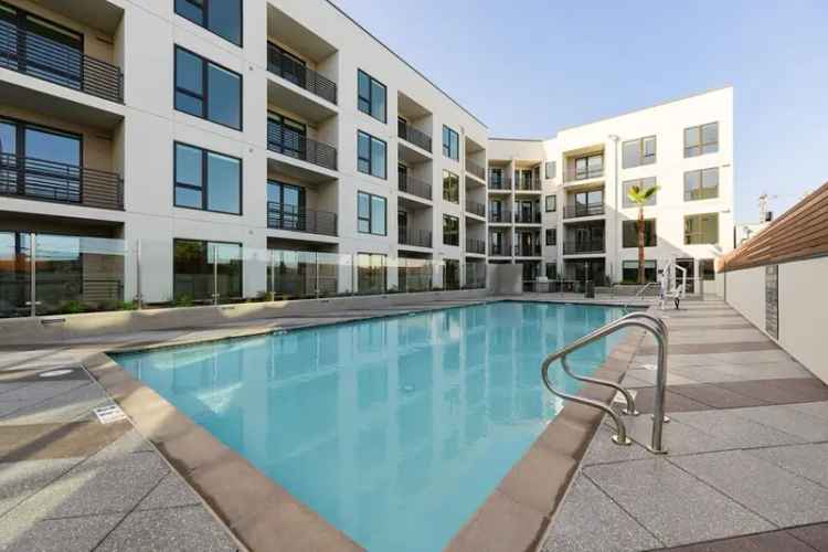 Rent Luxury Apartments in Belmont with Top Amenities