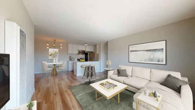 Rent Modern Apartments with 2-3 Bedrooms in Manchester Square