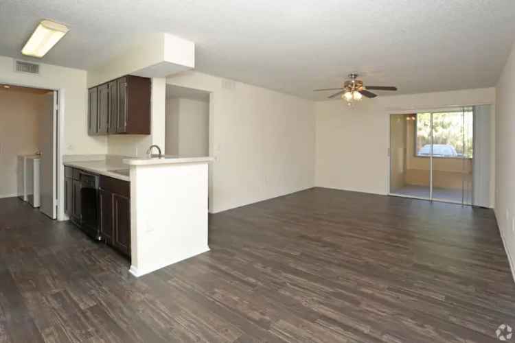 Rent Apartments at The Granite in Daytona Beach with Pool and Garden