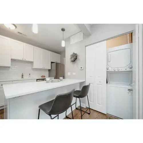 Rent Apartment in Pilsen with Modern Features and In Unit Laundry