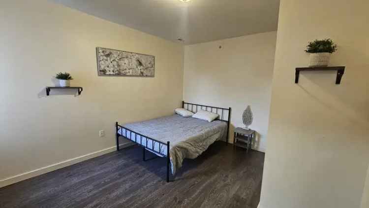 Rent 2 Bed 2 Bath Apartment with Ample Natural Light and Washer Dryer