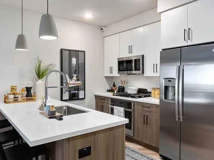 Rent Lavish Apartments with Modern Amenities in Scottsdale AZ