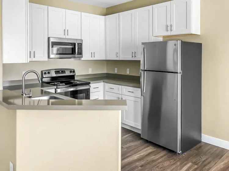 Rent Apartments in Chandler with Exclusive Community Amenities