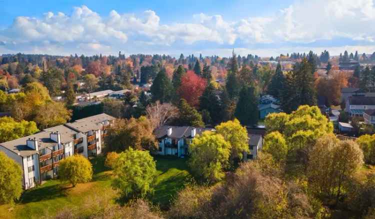 Rent Apartments in Beaverton with Modern Amenities and Pet-Friendly Options