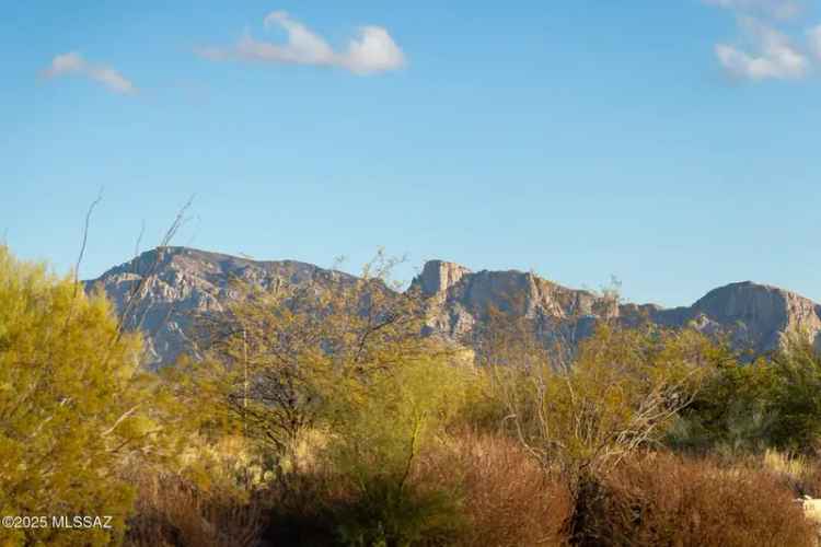 Build Your Dream Home Buy Premier Homesite in Oro Valley Arizona