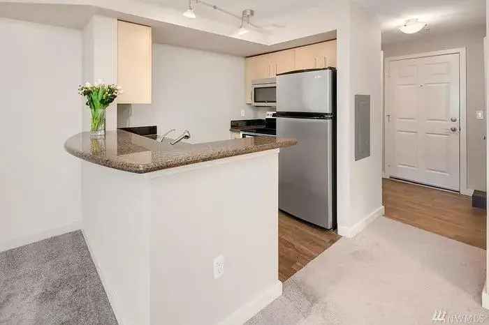 Rent Studio Apartment in Vibrant City with Updated Appliances