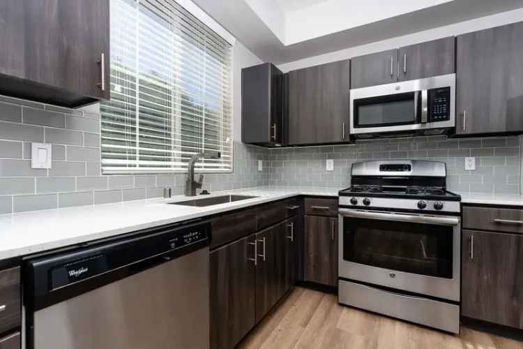 Rent Spacious Apartments with Amenities and Dog Park