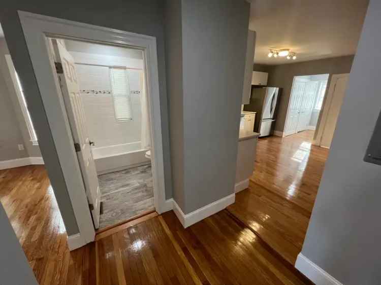 Rent Apartment Unit in Davis Square Featuring Modern Renovations