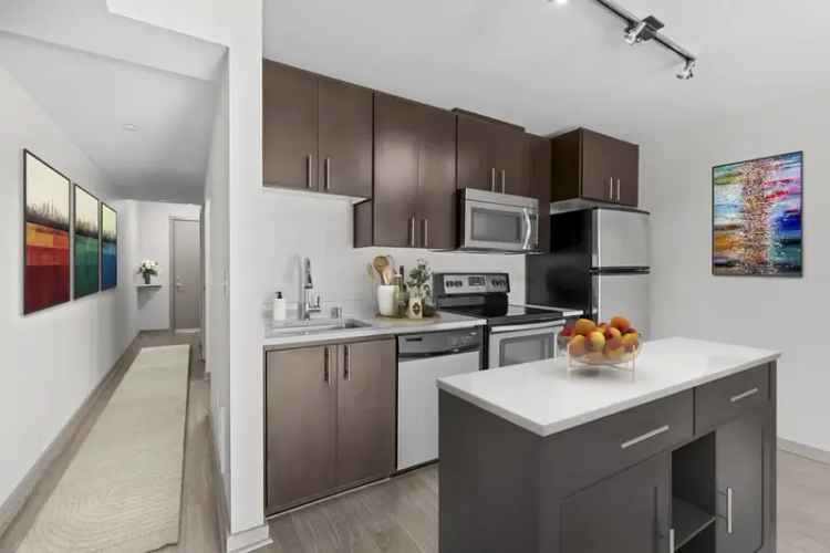 Rent Pet Friendly Apartments in Capitol Hill with Premier City Views