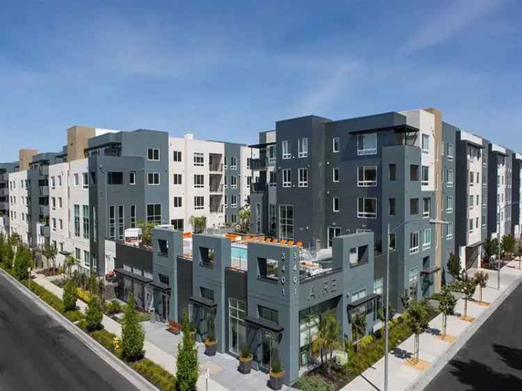 Rent Modern Apartments with Unique Design in San Jose