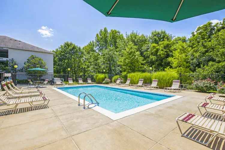 Rent Apartments in East End Louisville with Modern Amenities