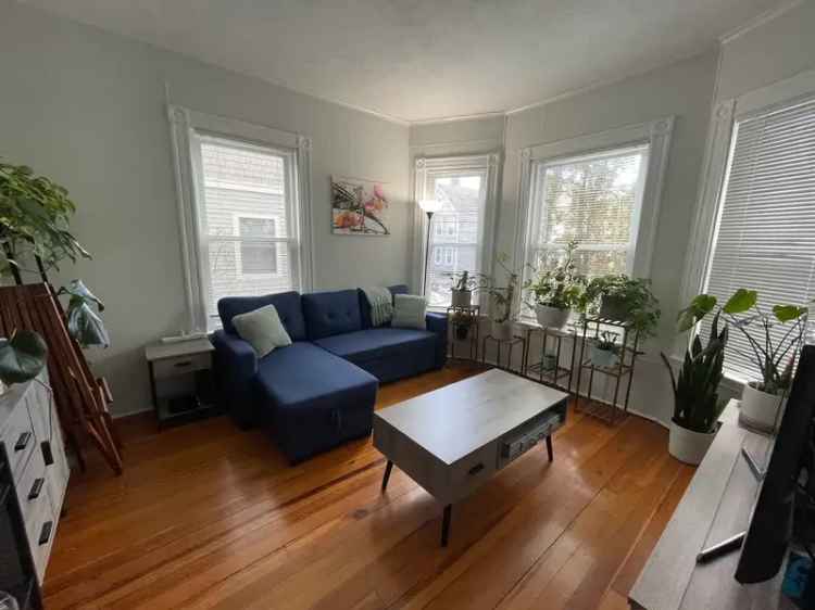 1 Bedroom Apartment for Rent in Somerville with Large Bay Windows