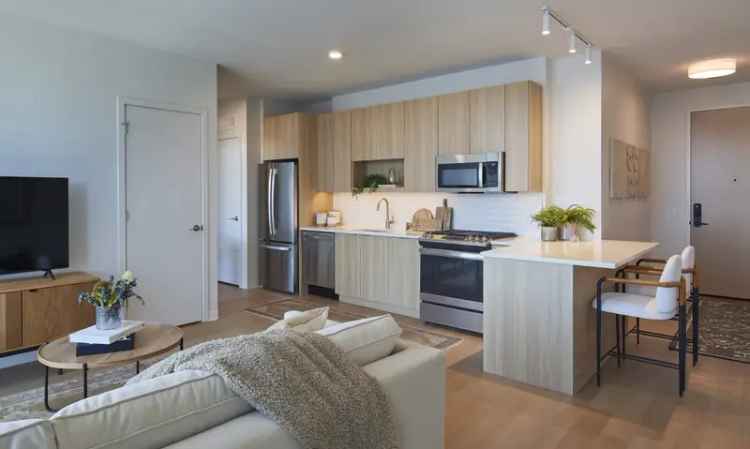 Rent Upscale Apartments in Chicago Lincoln Park with Skyline Views