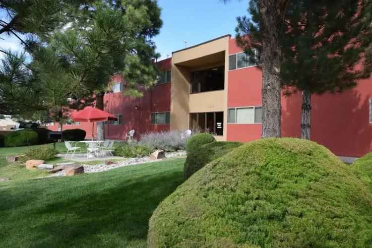 Rent Spacious Studios with Great Amenities in North UNM Area