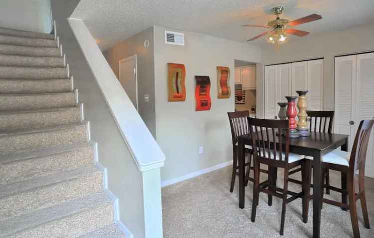 Rent Apartments Near Louisiana State University with Stellar Amenities