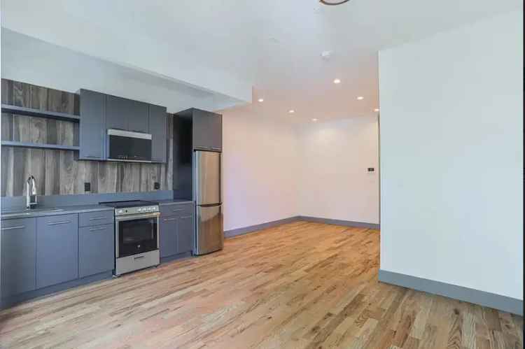 Rent Apartment in Flatbush Spacious 1 Bed 1 Bath with Roof Deck