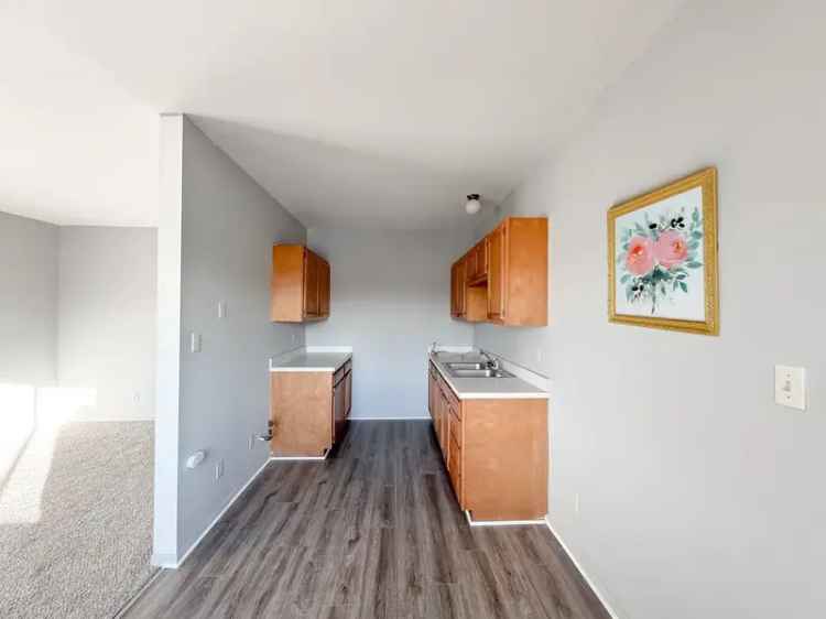 Rent Charming Apartment Unit with 1 Bedroom in Vibrant Neighborhood