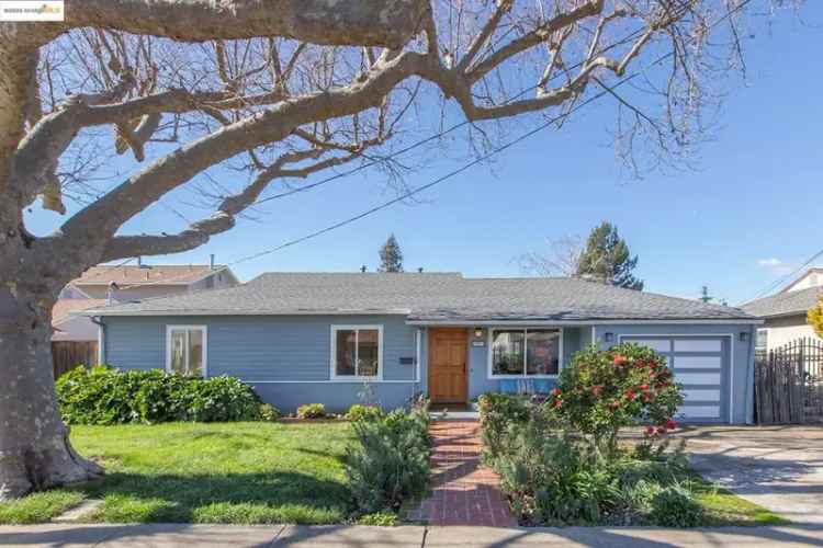 Buy House in Castro Valley with Huge Lot and Outdoor Features