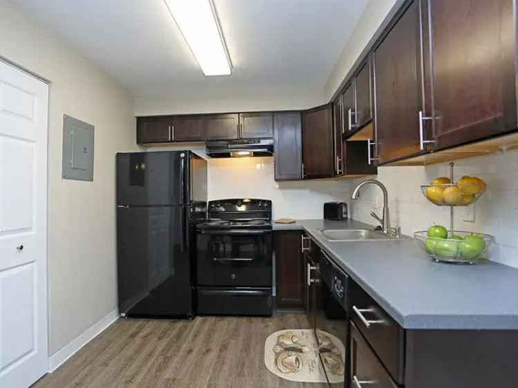 Rent Apartments in Aurora Colorado with Modern Amenities and Mountain Views