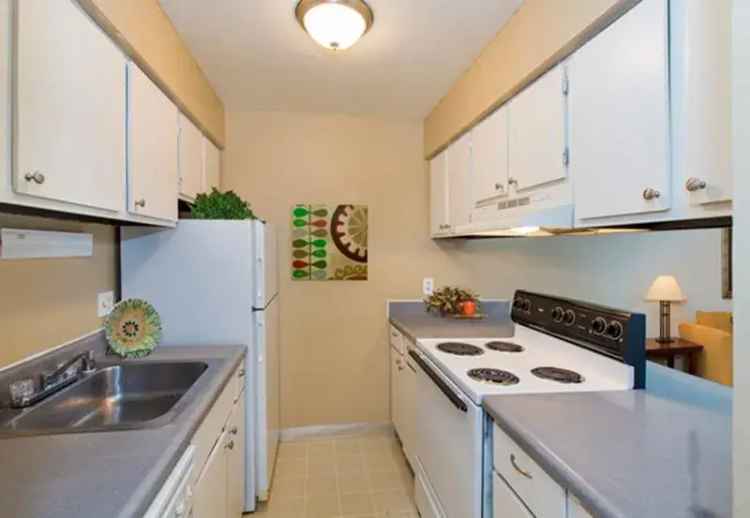 Rent Apartments in Downtown Colorado Springs with Modern Features