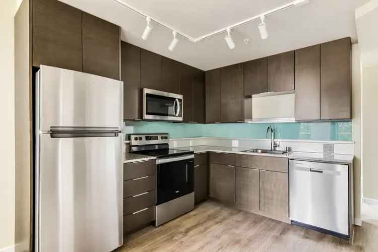 Rent High Rise Apartments in Seattle with Top Notch Amenities