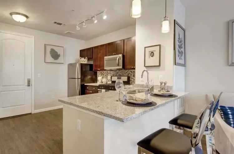 Rent Luxury Apartments in East Belmont with Modern Comforts