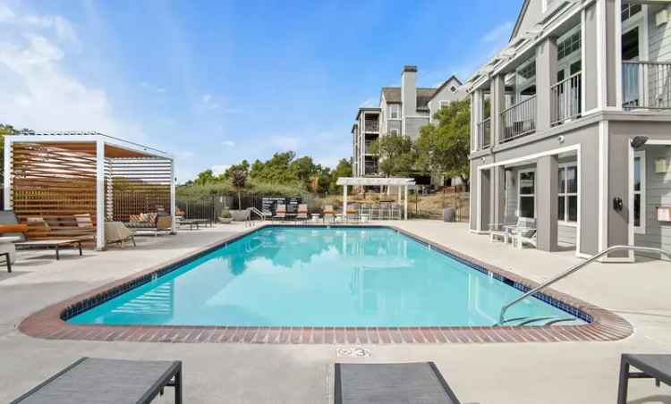 Rent Apartments in San Rafael with Eco-Friendly Designs and Great Amenities