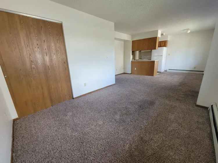 Apartments for Rent in Downtown Near Campus with Garage and Open Concept