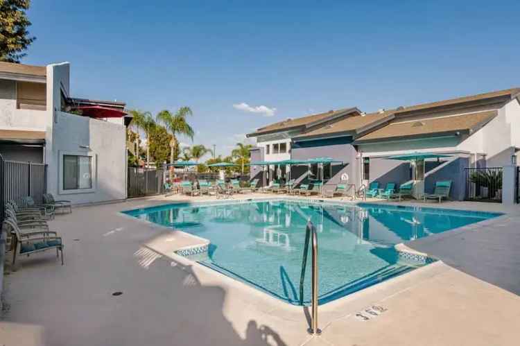 Rent Apartments in Santa Ana with Stylish Interiors and Great Amenities