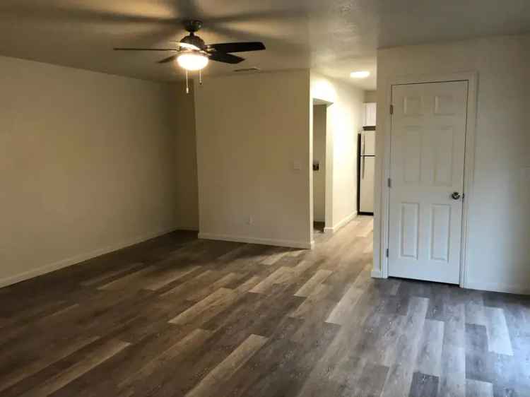 Rent Apartments in Sacramento with Spacious Layouts and Pool Access