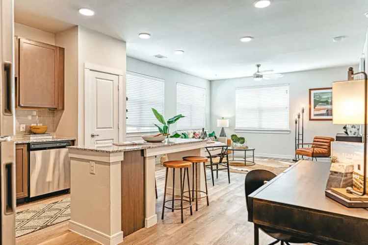 Rent Luxury Apartments in Georgetown with Modern Features and Amenities