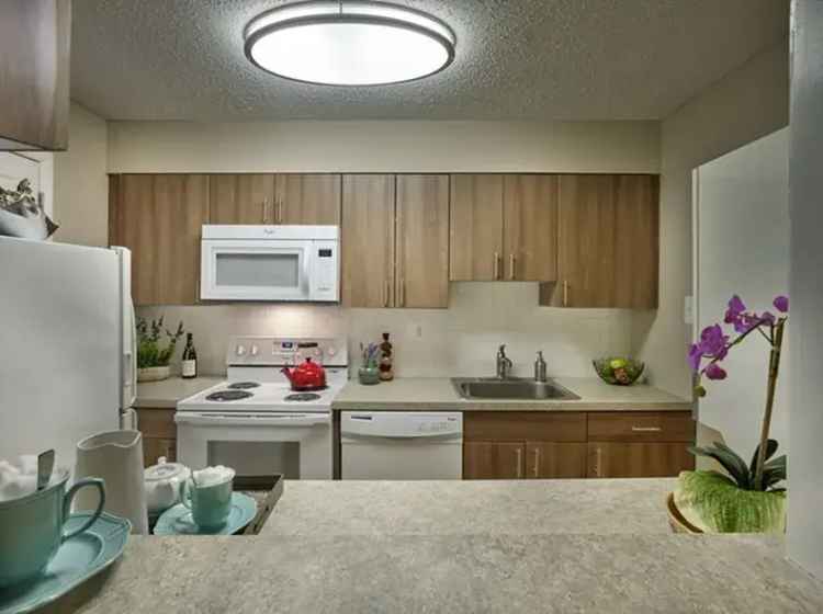 Rent Apartments in a Serene Community with Modern Style in Marlton