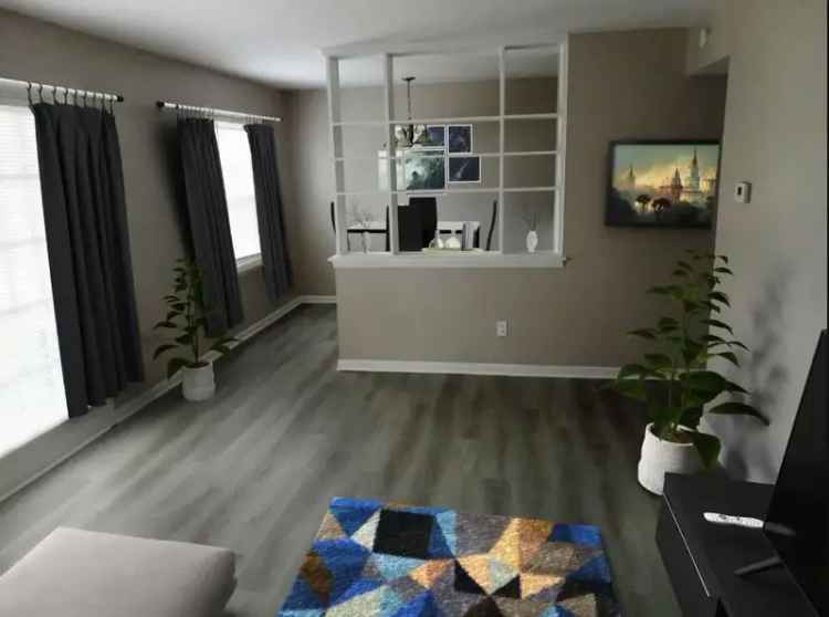 Rent Cozy and Spacious Newly Remodeled Apartments