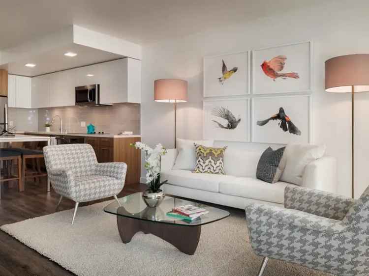 Rent Stylish Apartments in SoMa with Refined Amenities