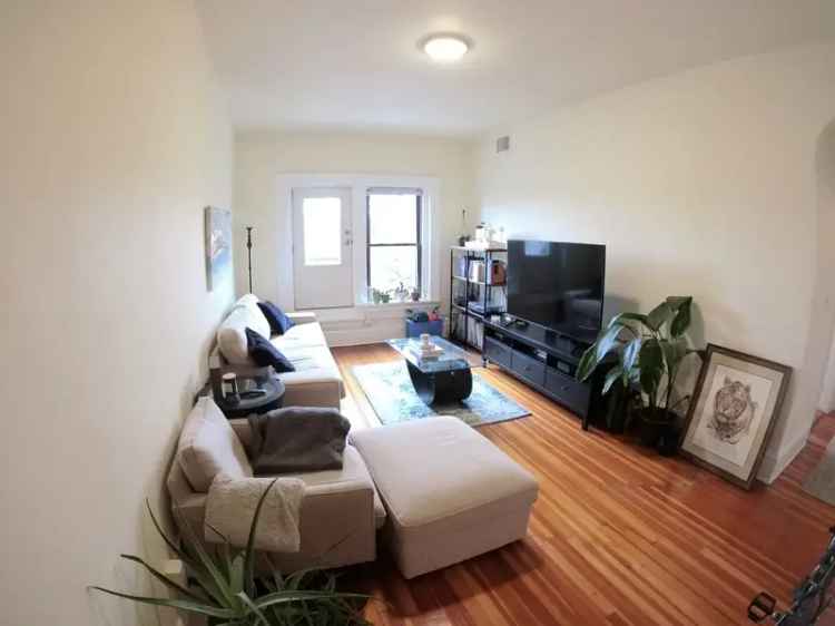 Rent 1 Bedroom Apartment in Brookline with Modern Features