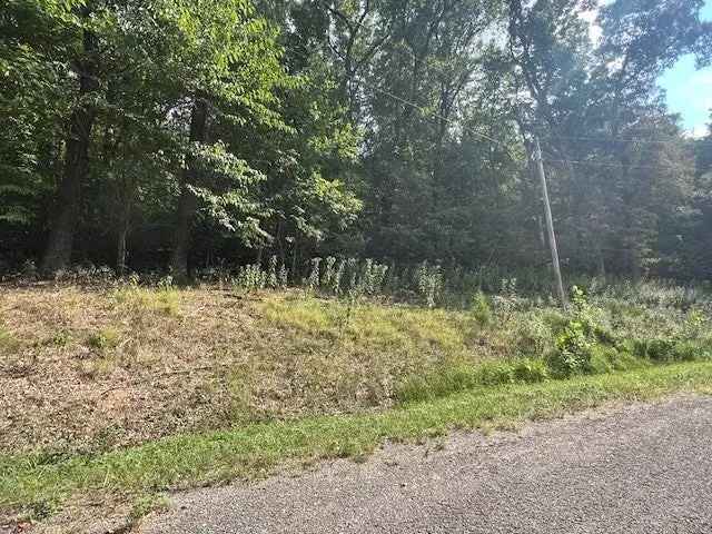 Land For Sale in 11, Tempest Lane, Arkansas