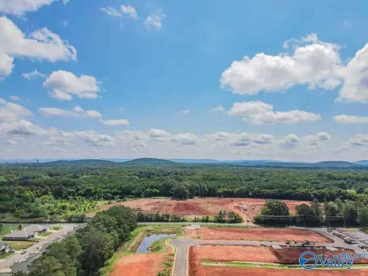 Buy Land in Madison AL with Unlimited Potential and Natural Features