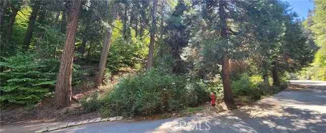 Land For Sale in Lake Arrowhead, California