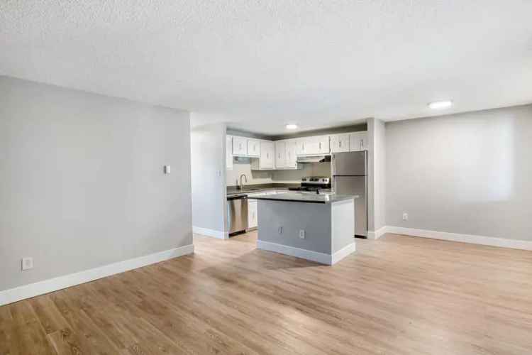 Rent Updated One Two and Three Bedroom Apartments in Midtown Fort Collins