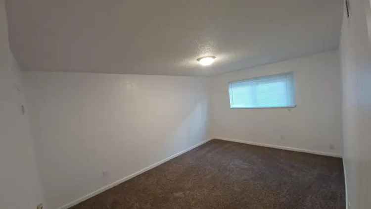 Apartment for Rent with New Appliances and Fresh Paint