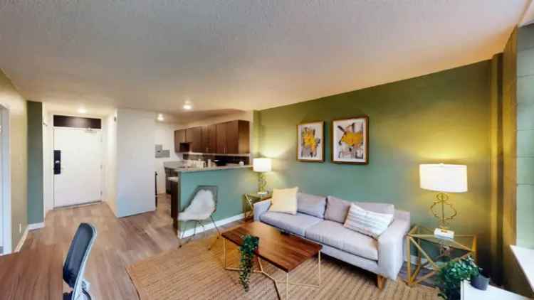 Rent Pet Friendly Apartments in Clifton Mt Auburn with Top Tier Amenities