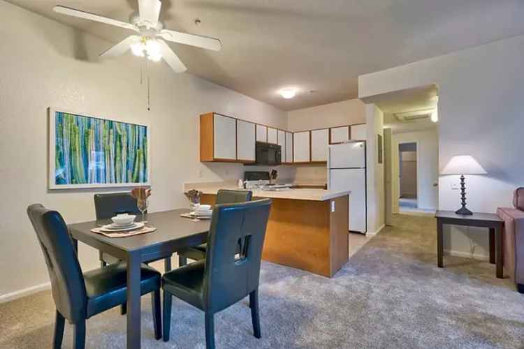 Rent Apartments at The Shores at McIntosh Lake with Resort Style Amenities