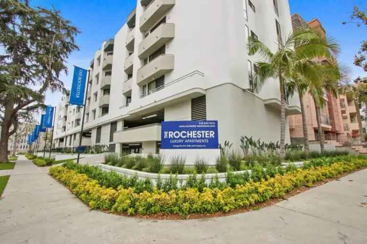 Rent Luxury Apartments in Westwood with Rooftop Pool and More