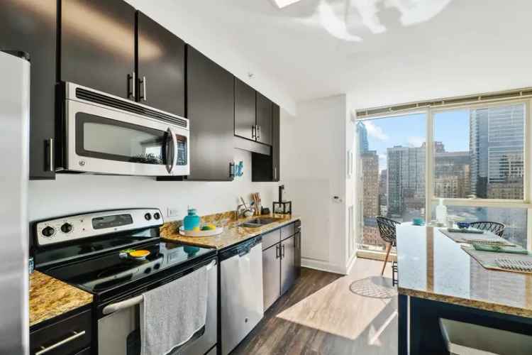 Rent Apartments in Center City Philadelphia with Premium Amenities